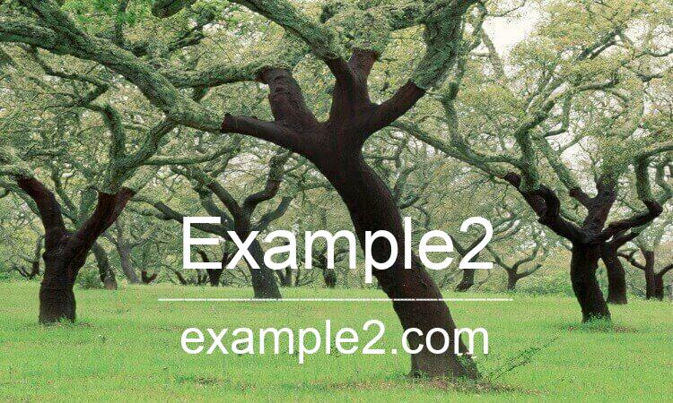 EXAMPLE2.COM